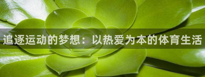 J9官方正版app娱乐代理怎么样：追逐运动的梦想：以
