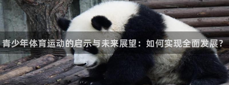 J9官方正版app科技：青少年体育运动的启示与未来展