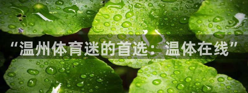 J9官方正版app娱乐是那个系列的台子：“温州体育迷