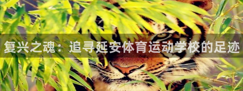 J9官网下载平台APP：复兴之魂：追寻延安体育运动学