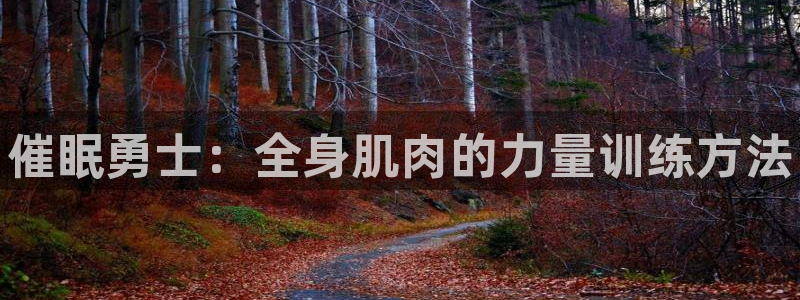 J9官网下载招商电话号码是多少啊：催眠勇士：全身肌肉