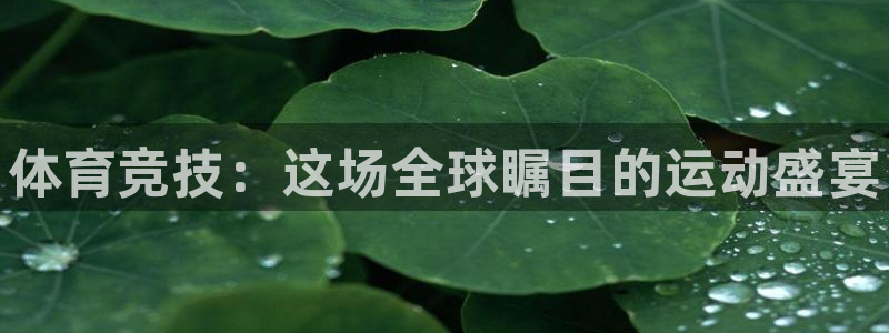 J9官方正版app集团logo：体育竞技：这场全球瞩