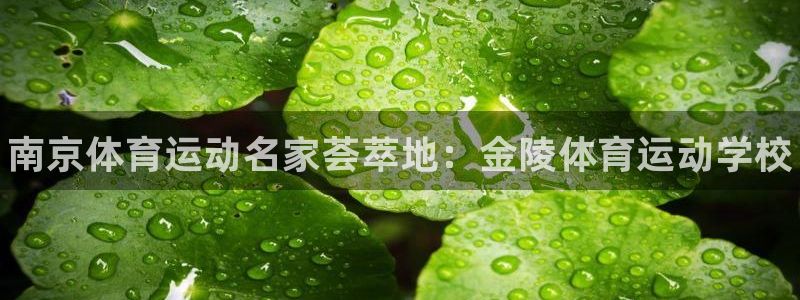 J9官方正版app科技：南京体育运动名家荟萃地：金陵