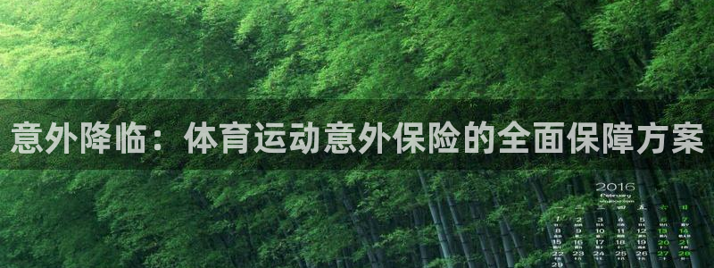 J9官网下载平台注册要钱吗安全吗：意外降临：体育运动意外保险