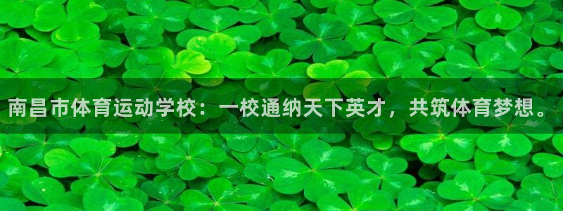 J9官方正版app集团logo：南昌市体育运动学校：一校通纳