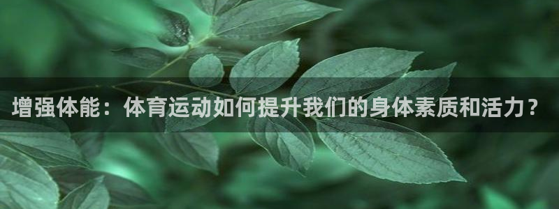 J9官网下载：增强体能：体育运动如何提升我们的身体素质和活力