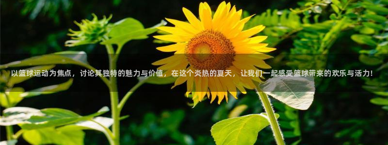 J9官网下载
