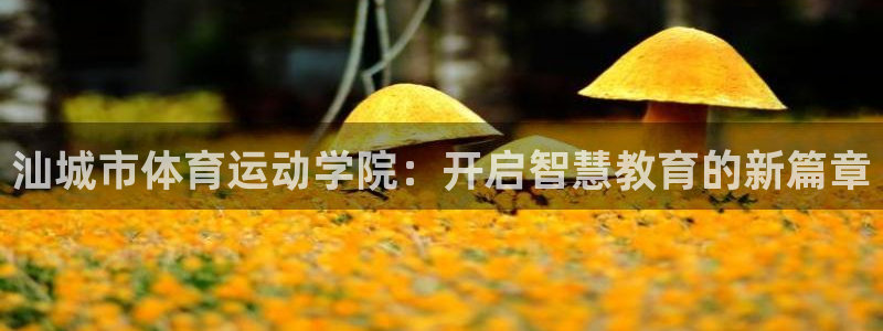 J9官网下载注册：汕城市体育运动学院：开启智慧教育的新篇章