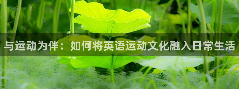 J9官网下载招商：与运动为伴：如何将英语运动文化融入