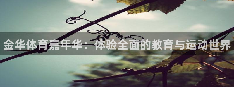 J9官方正版app开户：金华体育嘉年华：体验全面的教育与运动