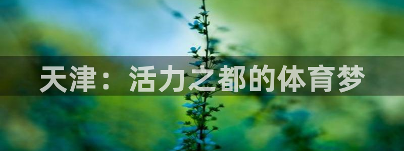 J9官网下载平台是正规平台吗知乎：天津：活力之都的体育梦