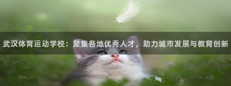 J9官方正版app娱乐首页网站大全：武汉体育运动学校：聚集各