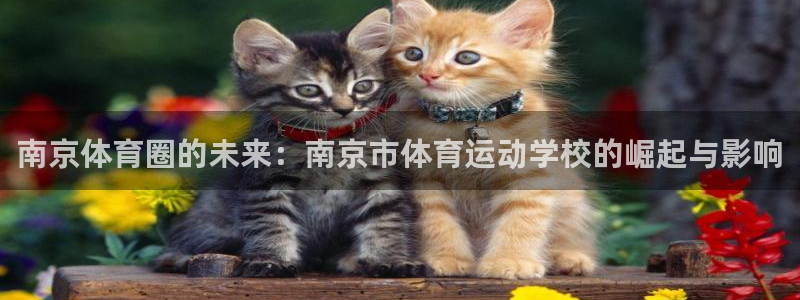 J9官网下载招商电话号码是多少号