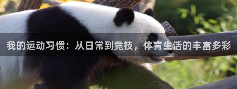 J9官方正版app集团官网首页：我的运动习惯：从日常