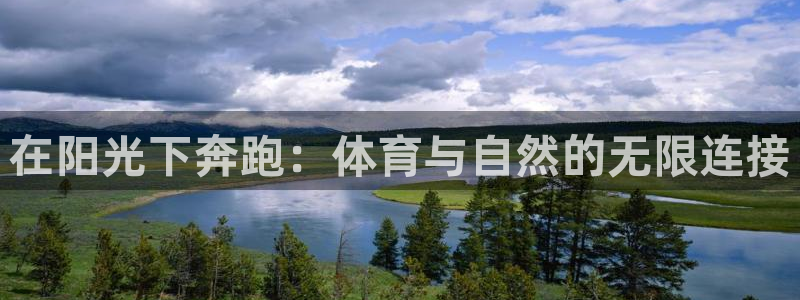 J9官方正版app集团