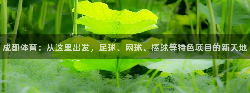 J9官网下载招商电话号码是多少号：成都体育：从这里出