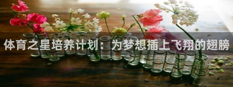 J9官网下载平台假的吗是真的吗吗：体育之星培养计划：为梦想插