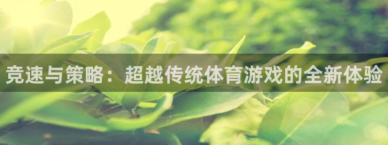 九游游戏登录失败：竞速与策略：超越传