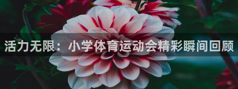 九游游戏中心安卓版：活力无限：小学体