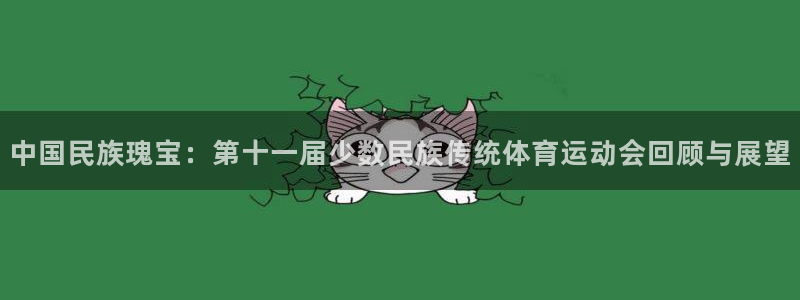 九游官网入口登录：中国民族瑰宝：第十