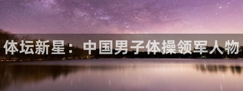 腾势j9：体坛新星：中国男子体操领军