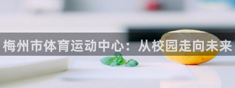 九游app以前的版本：梅州市体育运动