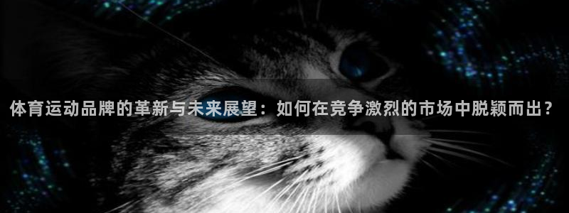 九九游戏官网入口：体育运动品牌的革新