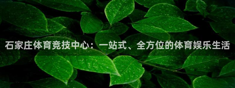 九游app电脑版官网：石家庄体育竞技