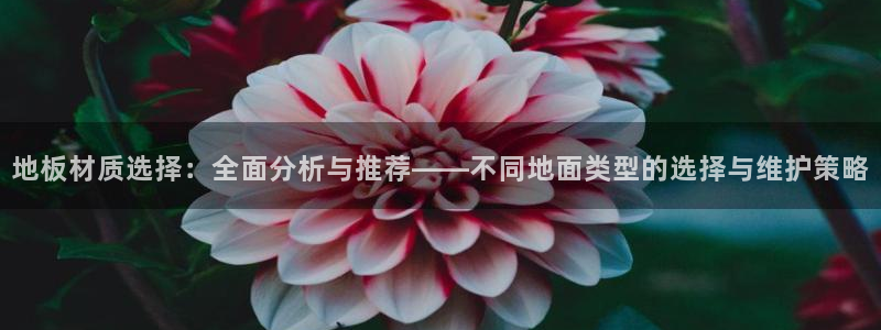 九游官网海岛奇兵：地板材质选择：全面分析与推荐——不同地面类