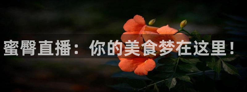 直播吧24：蜜臀直播：你的美食梦在这里！