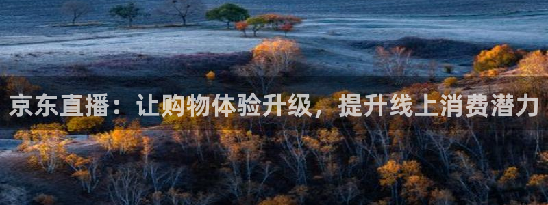 006直播篮球直播吧：京东直播：让购物体验升级，提升线上消费潜力