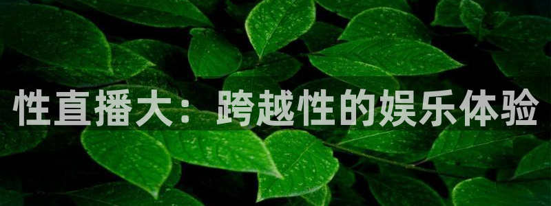 足球免费高清直播吧：性直播大：跨越性的娱乐体验