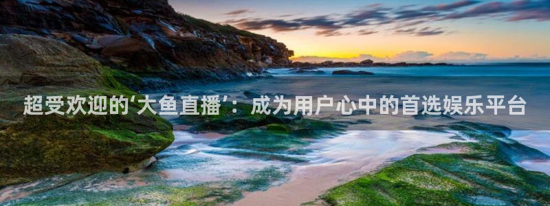 体育直播吧官网：超受欢迎的‘大鱼直播’：成为用户心中的首选娱乐平台